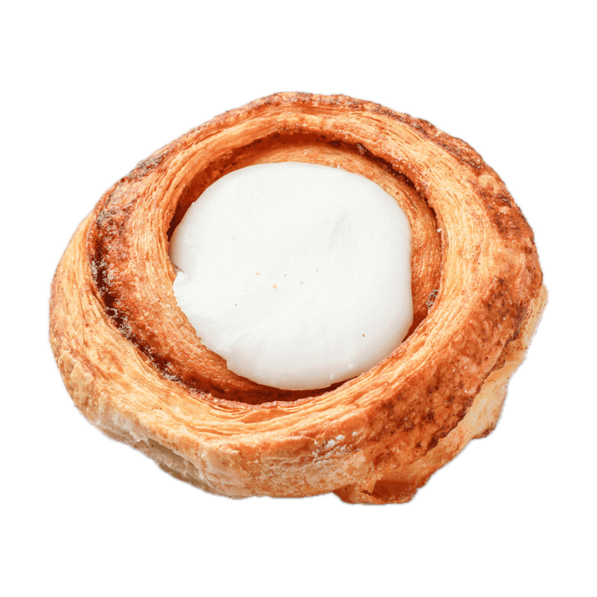 Kanelsnegl